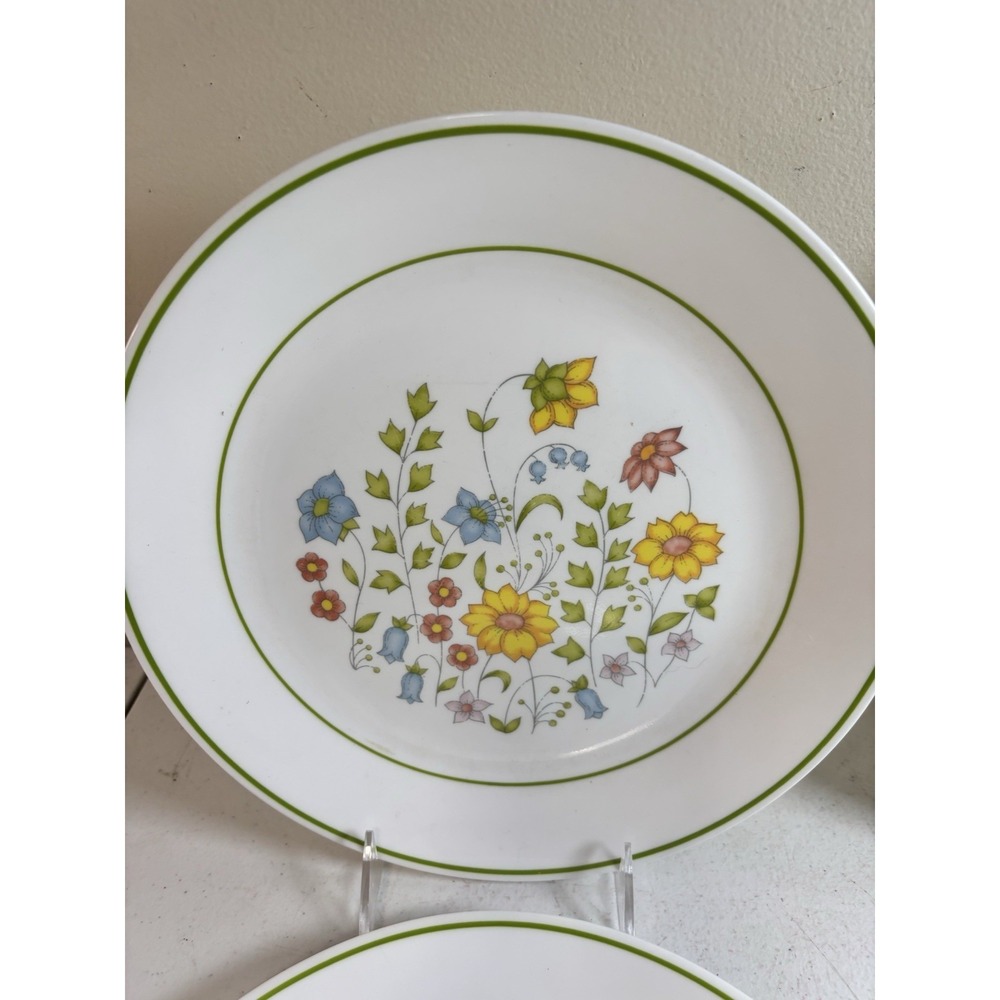 Corelle Spring Meadow 10.25" Dinner Plates Set of 4 Green Rim - Picture 5 of 7